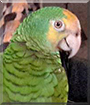 Name:  large (1).jpg
Views: 149
Size:  11.8 KB