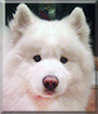 Name:  large.jpg
Views: 229
Size:  11.7 KB