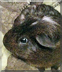 Name:  large (1).jpg
Views: 127
Size:  12.0 KB