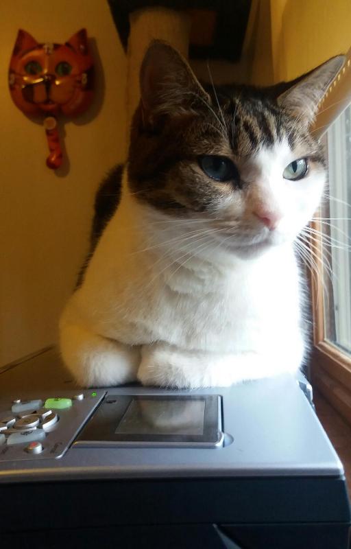 Name:  olibutt2.jpg
Views: 177
Size:  39.1 KB