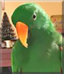 Name:  large (1).jpg
Views: 125
Size:  10.6 KB