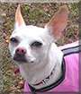 Name:  large.jpg
Views: 200
Size:  14.9 KB