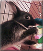 Name:  large (1).jpg
Views: 165
Size:  12.5 KB
