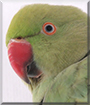 Name:  large (1).jpg
Views: 146
Size:  10.3 KB