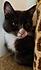 Click image for larger version. 

Name:	monscratch3.jpg 
Views:	72 
Size:	174.1 KB 
ID:	60096
