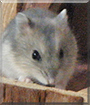 Name:  large (1).jpg
Views: 162
Size:  12.3 KB