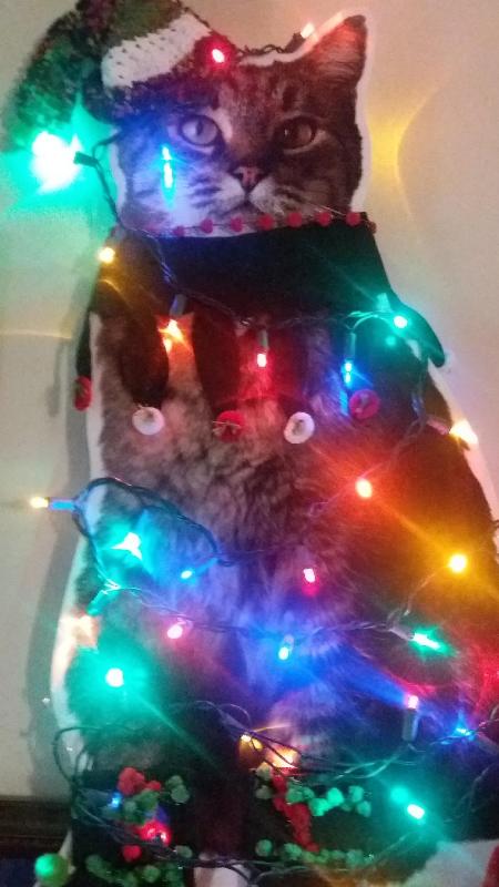 Name:  xmaself-a.jpg
Views: 130
Size:  49.2 KB