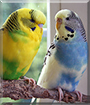 Name:  large (1).jpg
Views: 202
Size:  13.6 KB