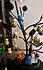 Click image for larger version. 

Name:	xmastree-a.jpg 
Views:	75 
Size:	61.8 KB 
ID:	60118