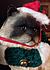 Click image for larger version. 

Name:	xmaspers.jpg 
Views:	72 
Size:	156.3 KB 
ID:	60121