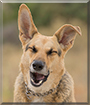 Name:  large.jpg
Views: 511
Size:  10.9 KB