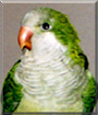 Name:  large.jpg
Views: 163
Size:  11.7 KB
