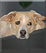 Name:  large.jpg
Views: 204
Size:  12.8 KB