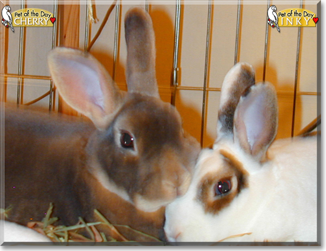 Name:  14.jpg
Views: 503
Size:  223.8 KB