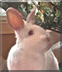 Name:  large.jpg
Views: 142
Size:  11.5 KB