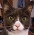 Click image for larger version. 

Name:	monface2-a.jpg 
Views:	127 
Size:	46.7 KB 
ID:	60206