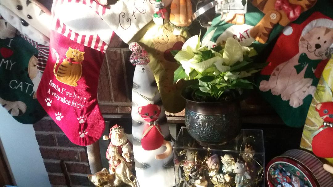 Name:  xmassun2.jpg
Views: 151
Size:  107.2 KB