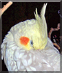 Name:  large.jpg
Views: 243
Size:  13.2 KB