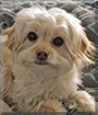 Name:  large.jpg
Views: 162
Size:  12.4 KB