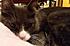 Click image for larger version. 

Name:	monsnug-a.jpg 
Views:	65 
Size:	49.0 KB 
ID:	60253