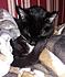 Click image for larger version. 

Name:	wilsnug-a.jpg 
Views:	68 
Size:	81.7 KB 
ID:	60254