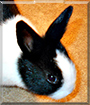 Name:  large.jpg
Views: 348
Size:  14.3 KB