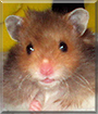 Name:  large (1).jpg
Views: 385
Size:  12.8 KB