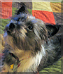 Name:  large (1).jpg
Views: 179
Size:  15.1 KB