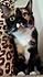 Click image for larger version. 

Name:	minexp1-a.jpg 
Views:	80 
Size:	51.5 KB 
ID:	60270