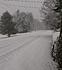 Click image for larger version. 

Name:	snowrd.jpg 
Views:	58 
Size:	174.5 KB 
ID:	60296