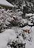 Click image for larger version. 

Name:	snowhse-a.jpg 
Views:	62 
Size:	95.3 KB 
ID:	60299