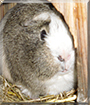 Name:  large (1).jpg
Views: 183
Size:  13.5 KB