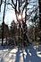 Click image for larger version. 

Name:	snowsun-a.jpg 
Views:	74 
Size:	112.7 KB 
ID:	60303