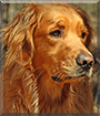 Name:  large (1).jpg
Views: 245
Size:  14.2 KB