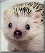 Name:  large.jpg
Views: 133
Size:  11.3 KB