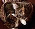 Click image for larger version. 

Name:	olimksqeez-b.jpg 
Views:	78 
Size:	47.8 KB 
ID:	60338