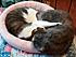 Click image for larger version. 

Name:	mknospace-a.jpg 
Views:	66 
Size:	56.9 KB 
ID:	60342