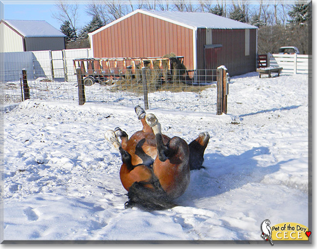 Name:  31c.jpg
Views: 254
Size:  211.5 KB