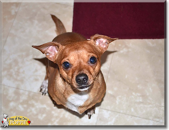 Name:  02e.jpg
Views: 180
Size:  164.0 KB