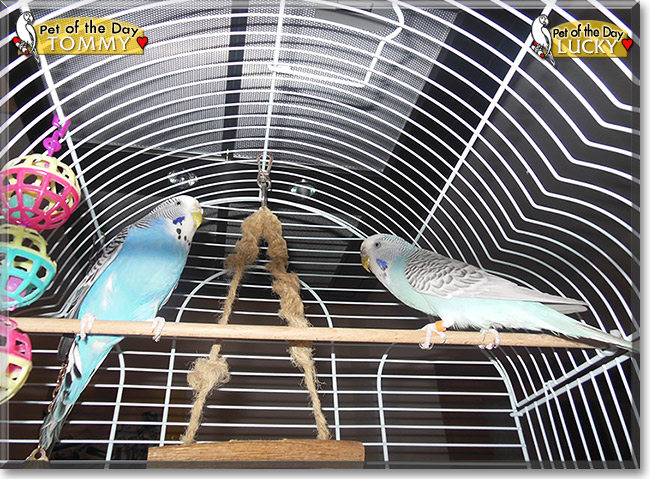 Name:  04.jpg
Views: 135
Size:  292.7 KB