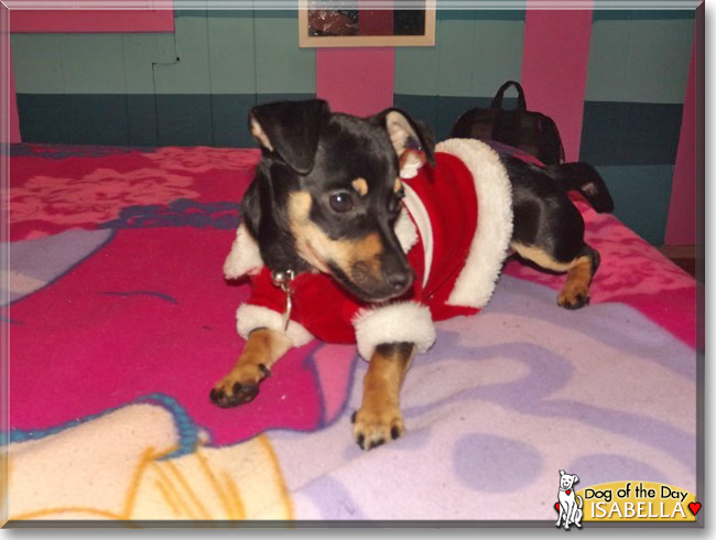 Name:  04c.jpg
Views: 217
Size:  147.8 KB