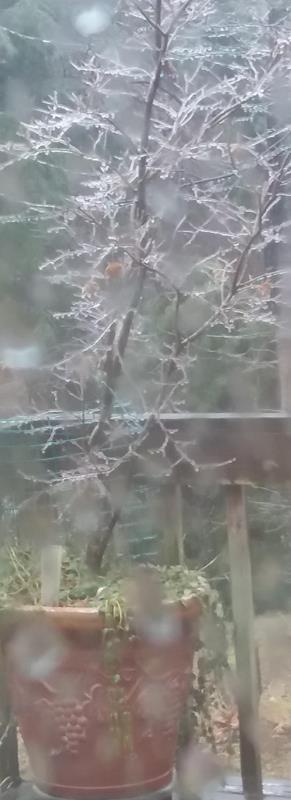 Name:  ice-a.jpg
Views: 142
Size:  32.2 KB