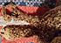Click image for larger version. 

Name:	crochet-a.jpg 
Views:	78 
Size:	75.7 KB 
ID:	60371