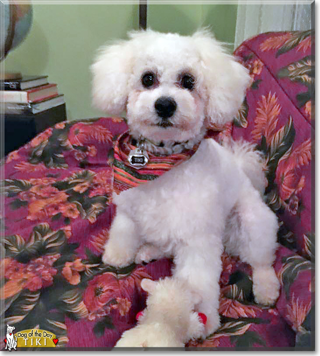 Name:  14b.jpg
Views: 218
Size:  362.4 KB