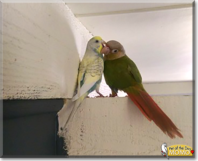 Name:  15e.jpg
Views: 159
Size:  129.2 KB