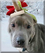 Name:  large.jpg
Views: 178
Size:  11.2 KB