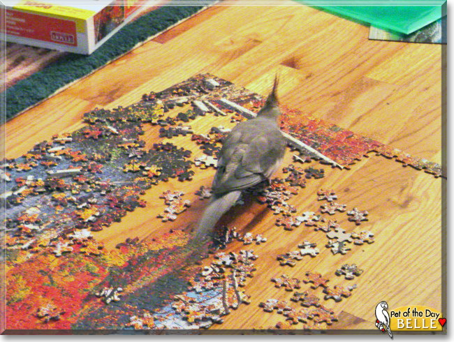 Name:  20b.jpg
Views: 113
Size:  389.2 KB