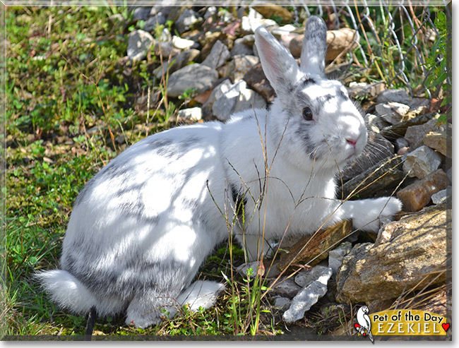 Name:  22c.jpg
Views: 238
Size:  279.1 KB
