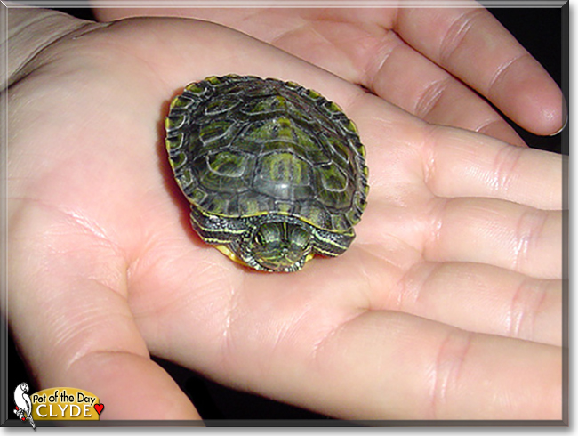 Name:  24.jpg
Views: 150
Size:  202.5 KB