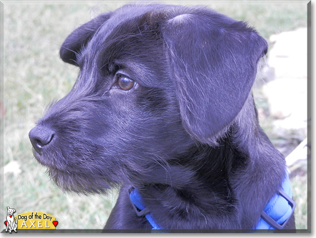 Name:  24e.jpg
Views: 215
Size:  217.6 KB